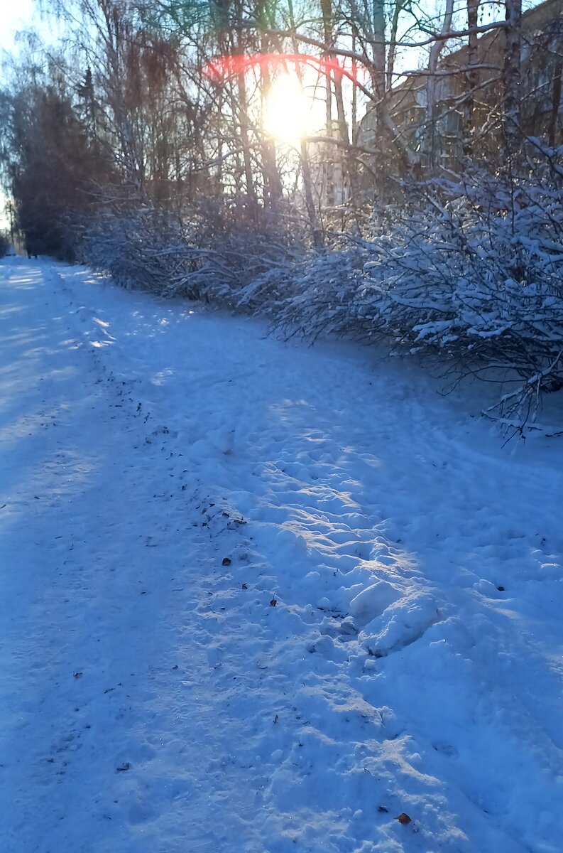 Фото автора