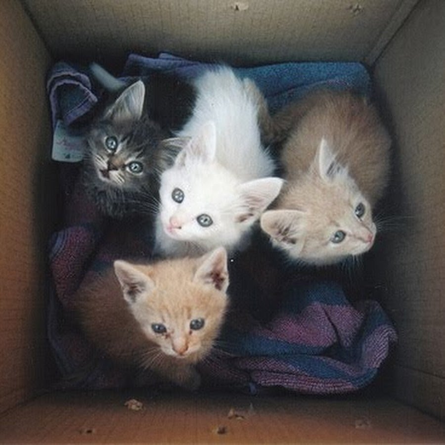 Фото для обложки