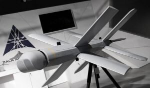    Фото: Zala Aero Наталья Анисеева