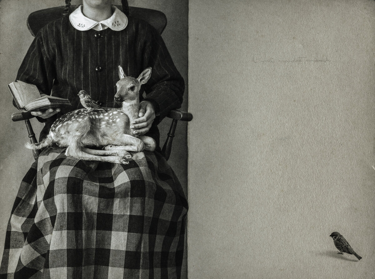 Life in photographs.  Laura Macabrescu.