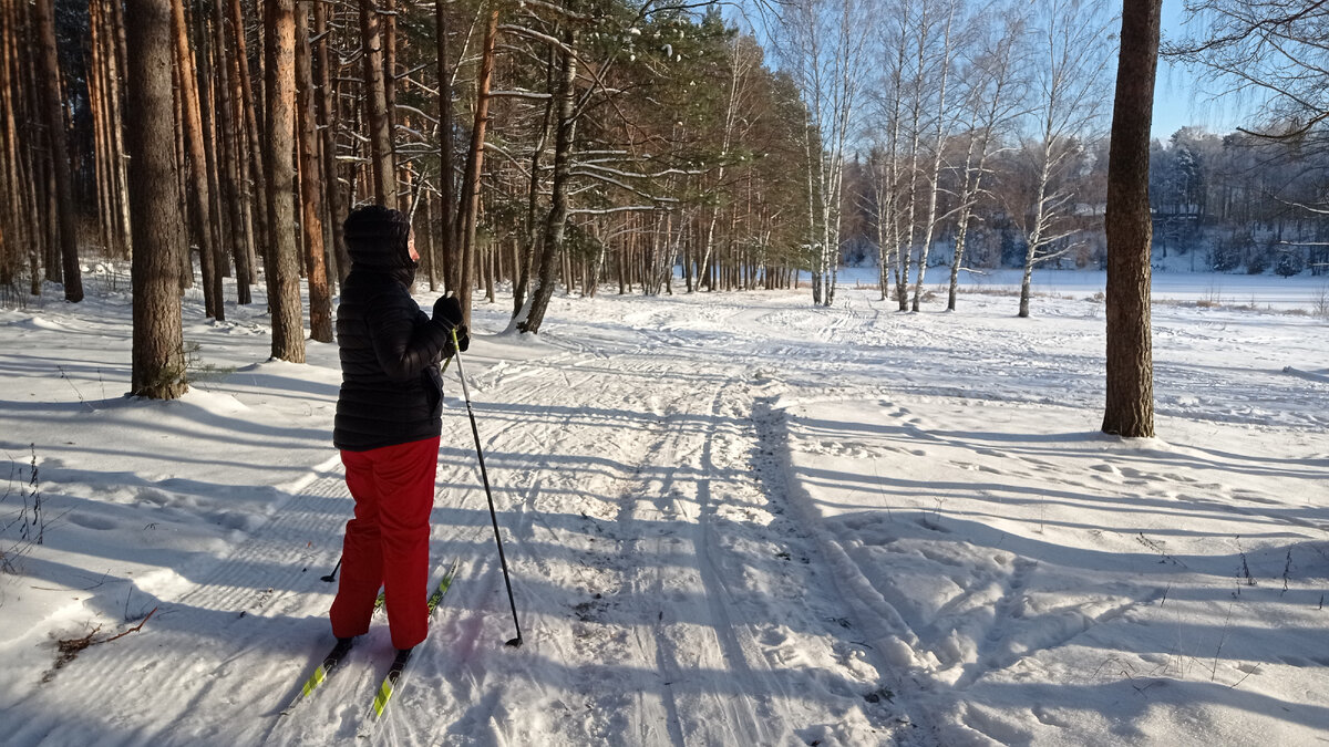 Лыжные прогулки