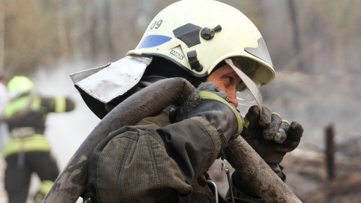 © ДЕНИС БОЧАРОВ/GLOBALLOOKPRESS