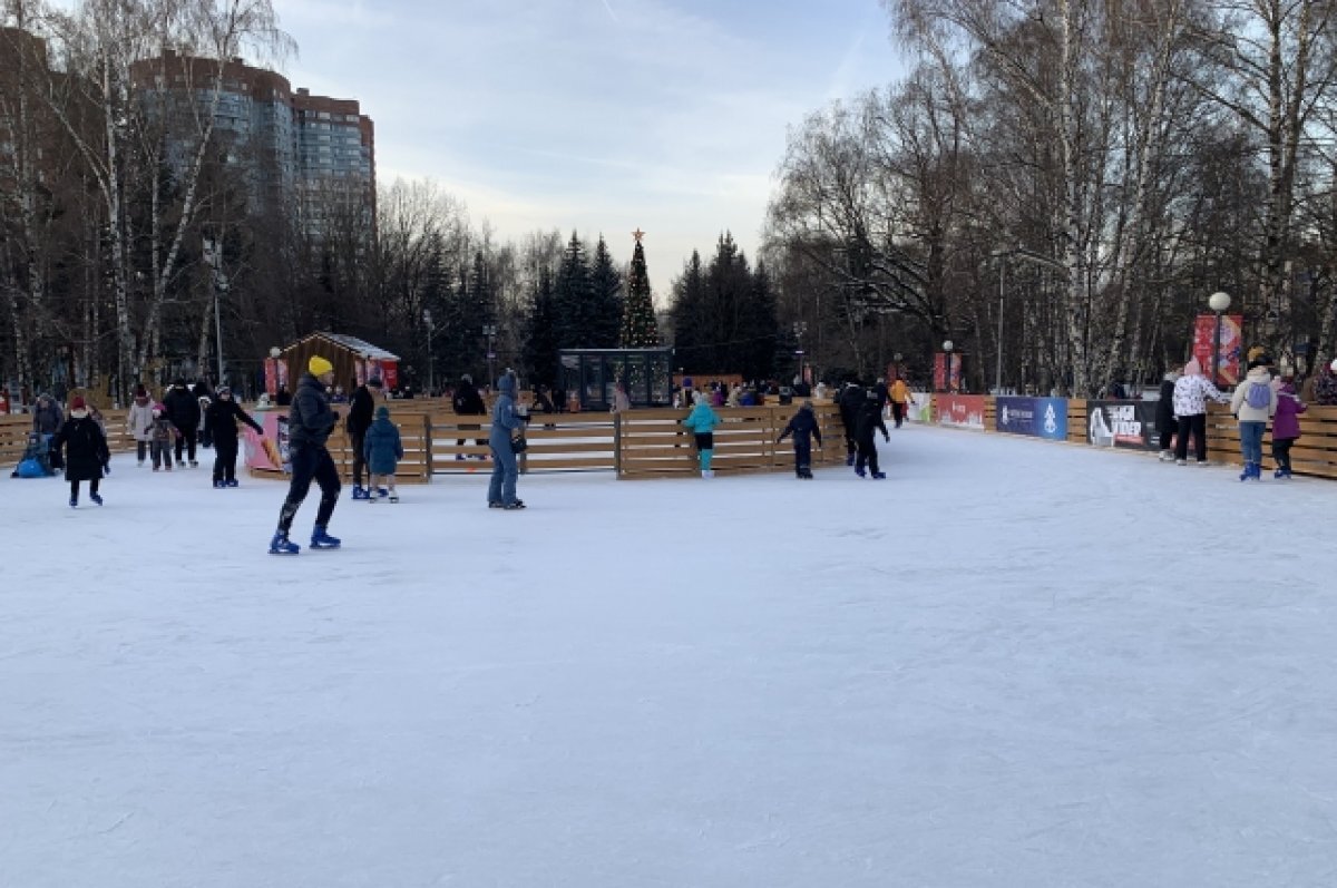    В Воронеже с 6 декабря начали работать первые катки под открытым небом