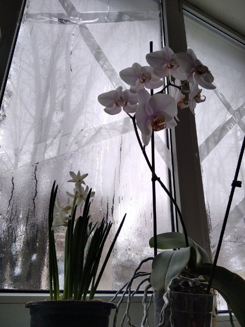 Фото автора материала.