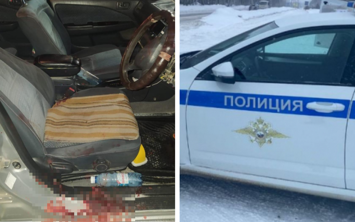    В Новосибирской области суд отправил в СИЗО зарезавшего таксиста школьника