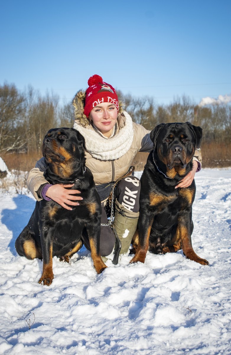 На занятиях по ОКД. Слева Моника, справа Круз.