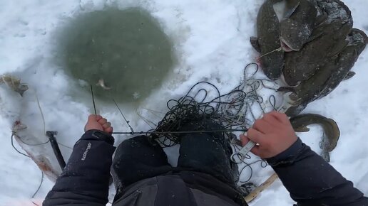 Зимняя рыбалка на Енисее. Проверка перемётов на налима. Переносим ...