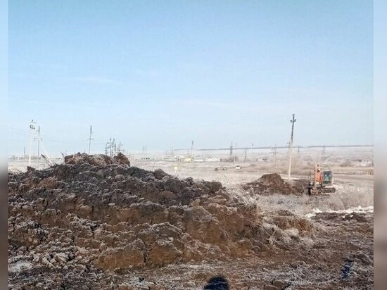     Россельхознадзор по Оренбургской области