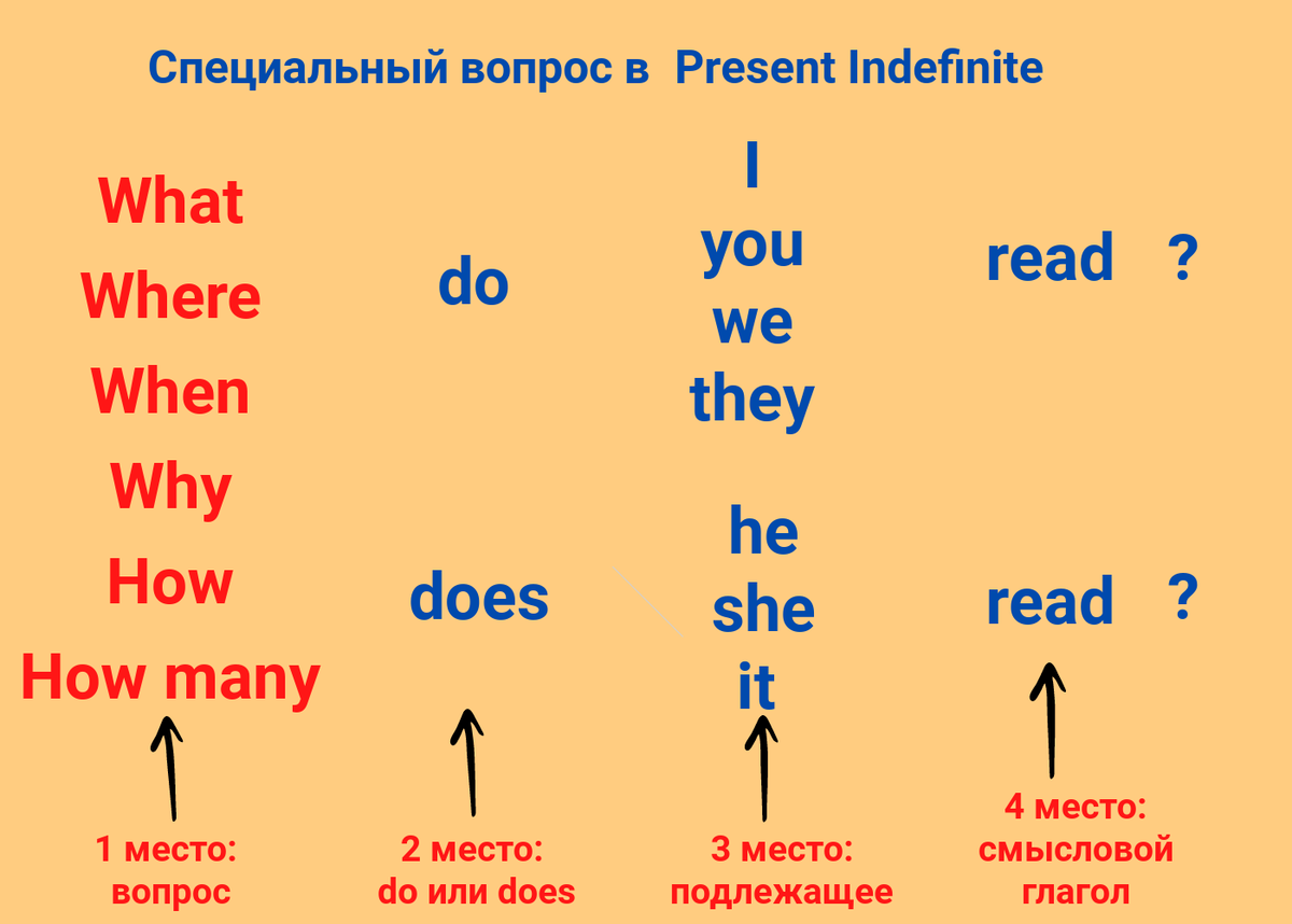 Урок 15. Специальные вопросы в Present Indefinite. | Лингвомир | Дзен