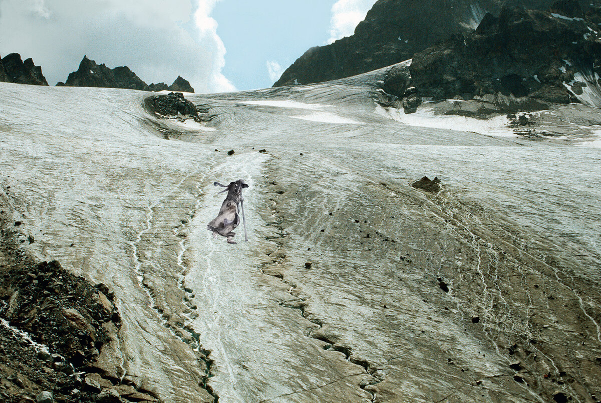 Летом 1992 года швейцарские археологи получили сообщение о том, что в швейцарских Альпах, на высоте 2625 м в хижине хранятся удивительные находки, извлеченные из ледника Порчабелла несколько лет назад.-1-2