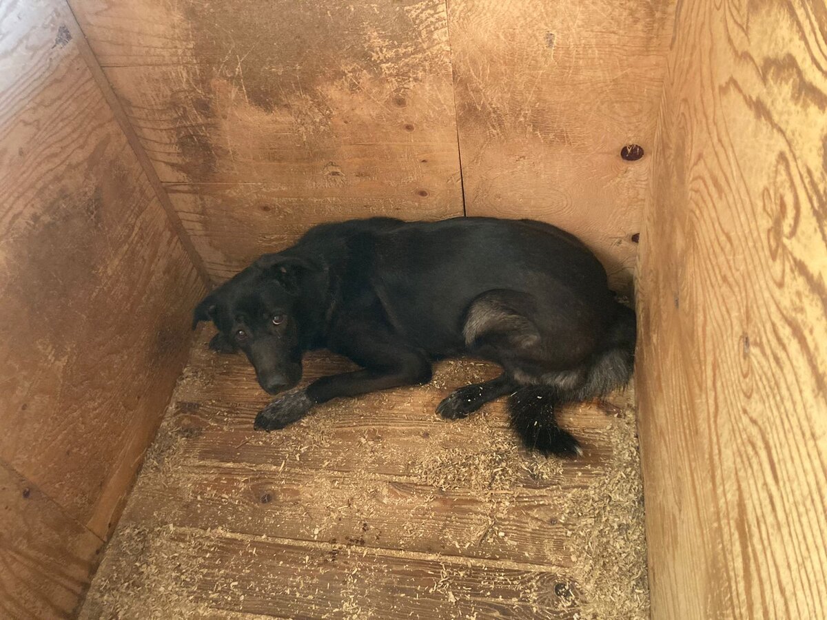 #Соль_Кожухово, сектор А