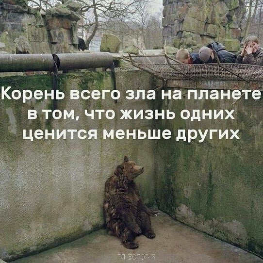 «Придет время, когда люди будут смотреть на убийцу животного так же, как они смотрят сейчас на убийцу человека» - Леонардо да Винчи