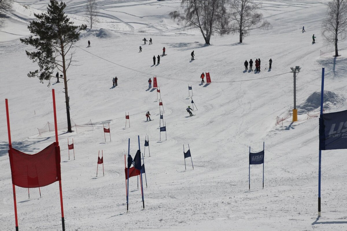 Фото: vk.com/edelweis_tsk