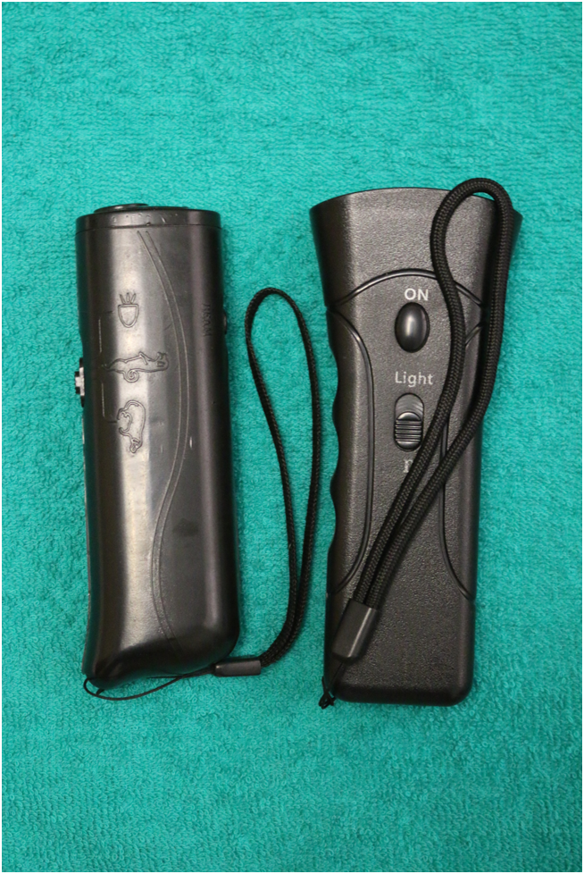 Фото из личного архива.