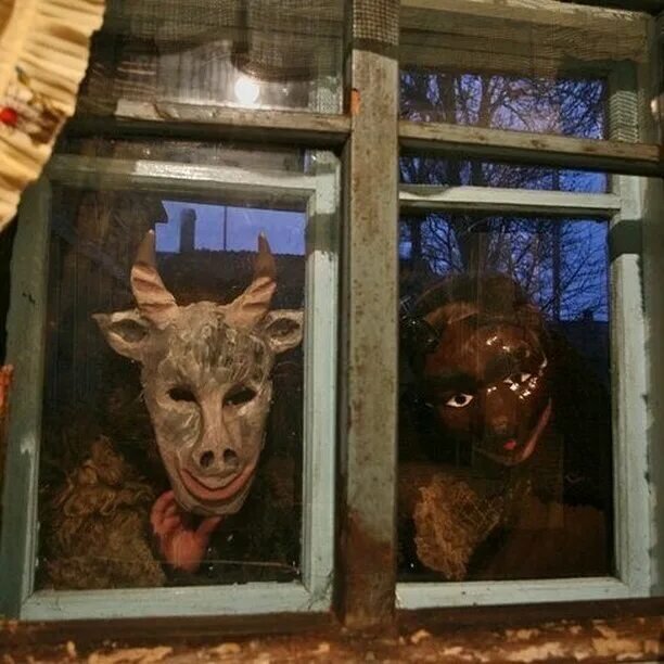 Фото взято из открытого источника.