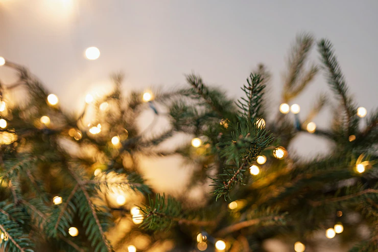 https://ru.freepik.com/free-photo/christmas-tree-decorated-by-lights_20122520.htm#query=%D0%BD%D0%BE%D0%B2%D1%8B%D0%B9%20%D0%B3%D0%BE%D0%B4&position=26&from_view=search&track=sph