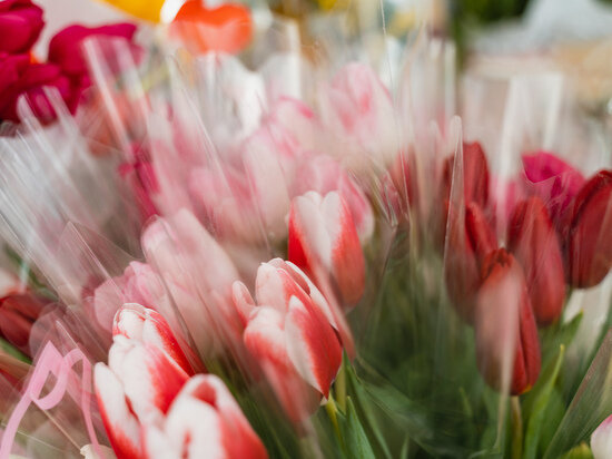   Максим Школьников