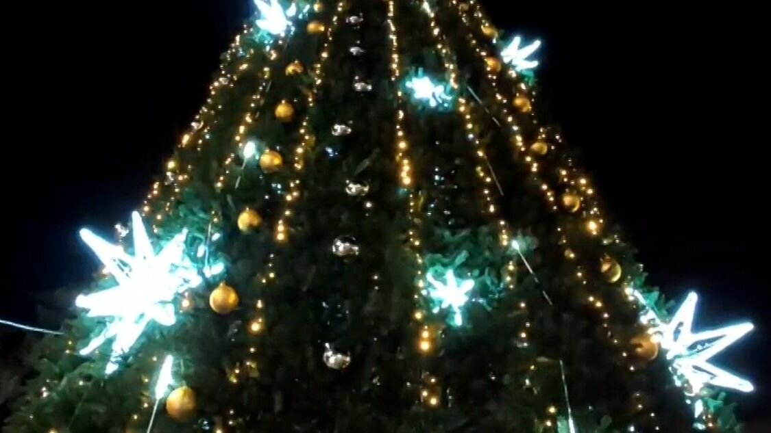     Вечером 10 декабря в Ростове-на-Дону засияла огнями главная новогодняя елка на Большой Садовой, сообщили горожане в соцсети.