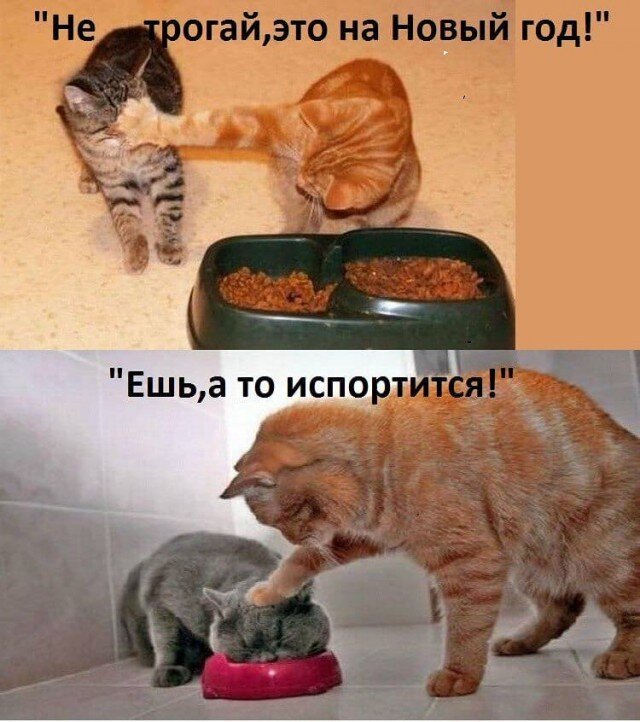 Фото из открытого источника.