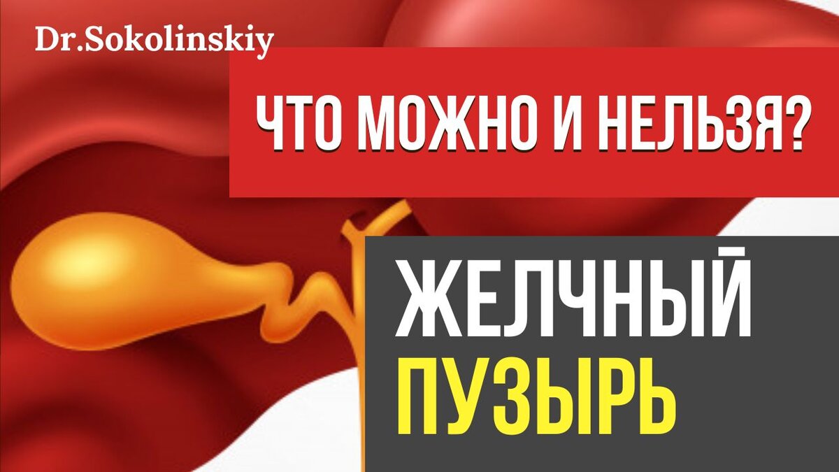 Что можно и нельзя есть при застое желчи и камнях в желчном пузыре? |  Система доктора Соколинского. Видео. Исследования | Дзен