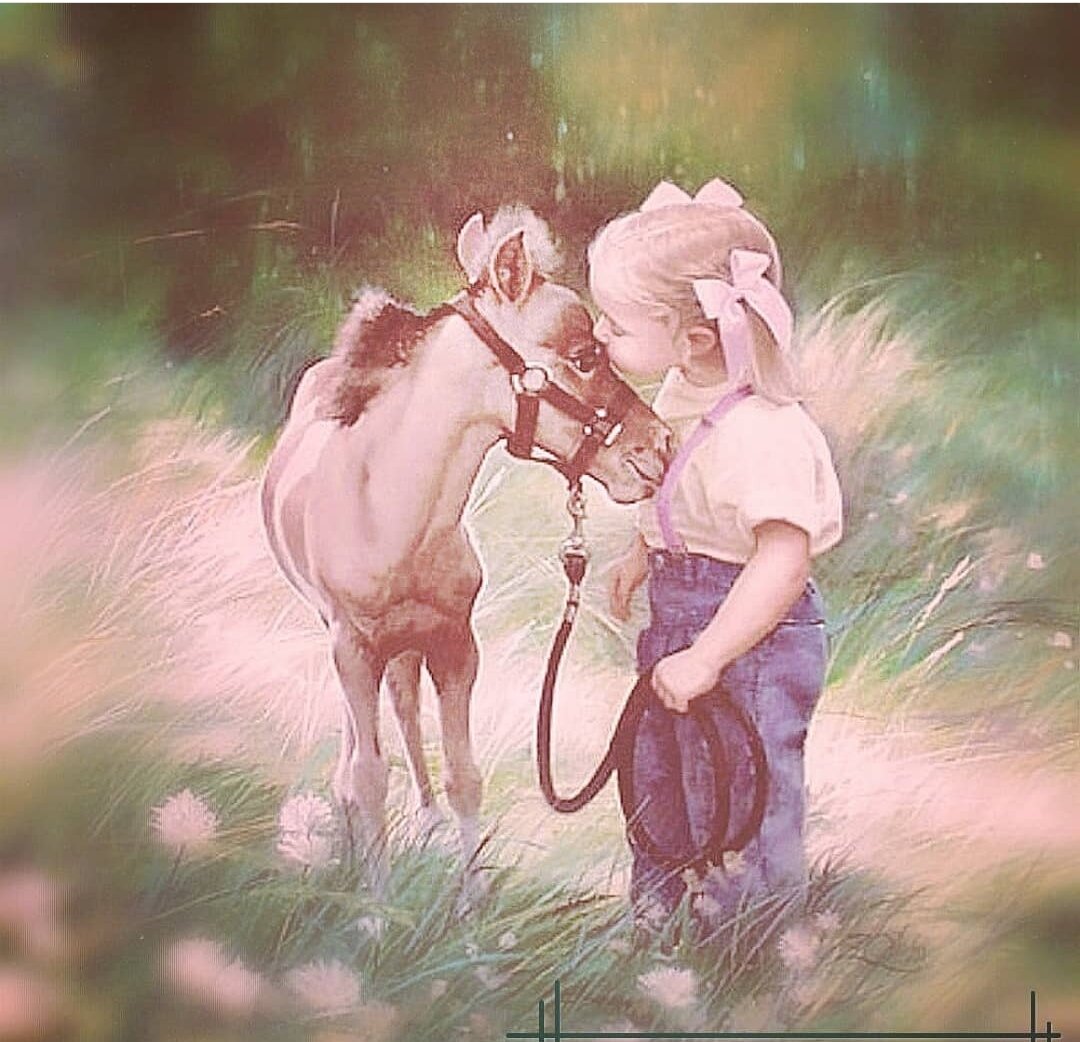 Редактированное фото из открытых источников. 