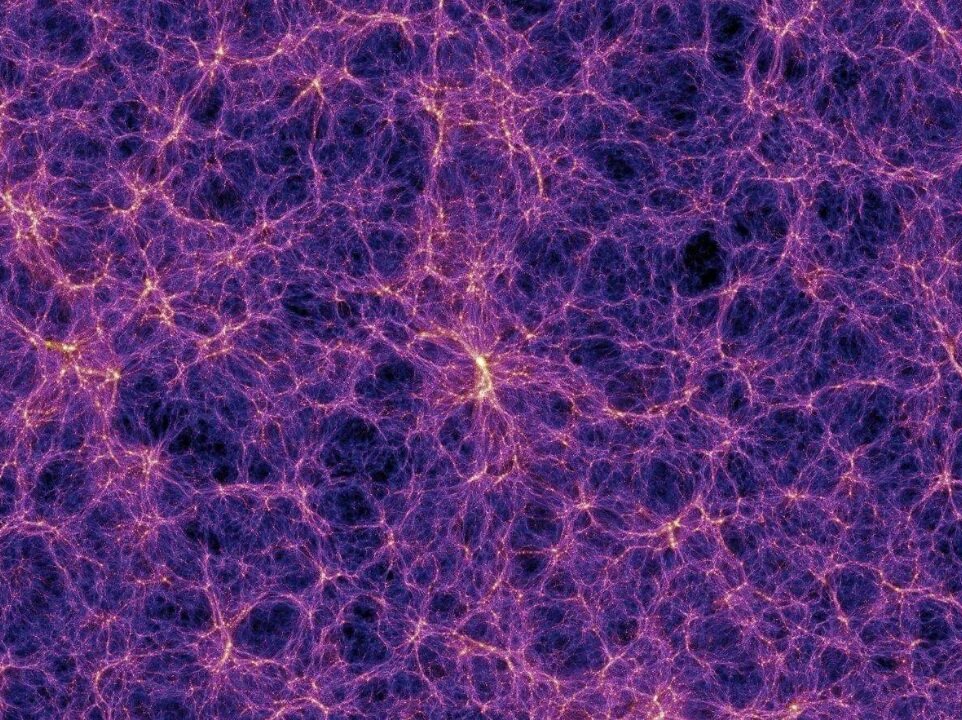 Вселенная тоже подобна ризоме. Фото из открытых источников. 