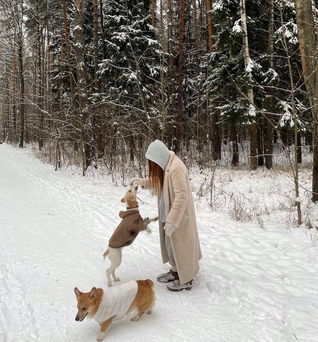 счастливые люди зимой. не хватает зимы. не хватает зимы. демотиваторы про зиму. не хватает зимы.