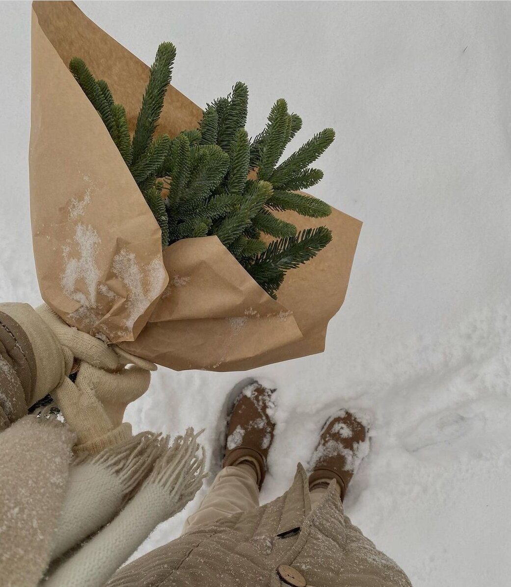 Фотография из сети интернет