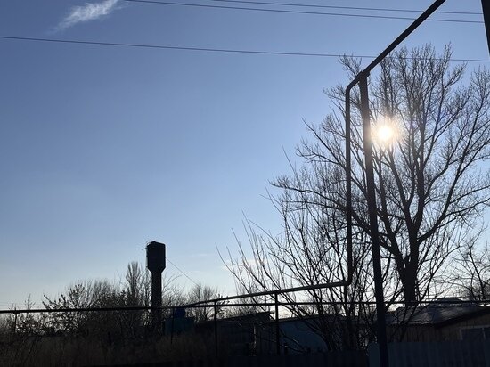     Земельный участок. Фото: saratov.mk.ru "МК в Саратове"