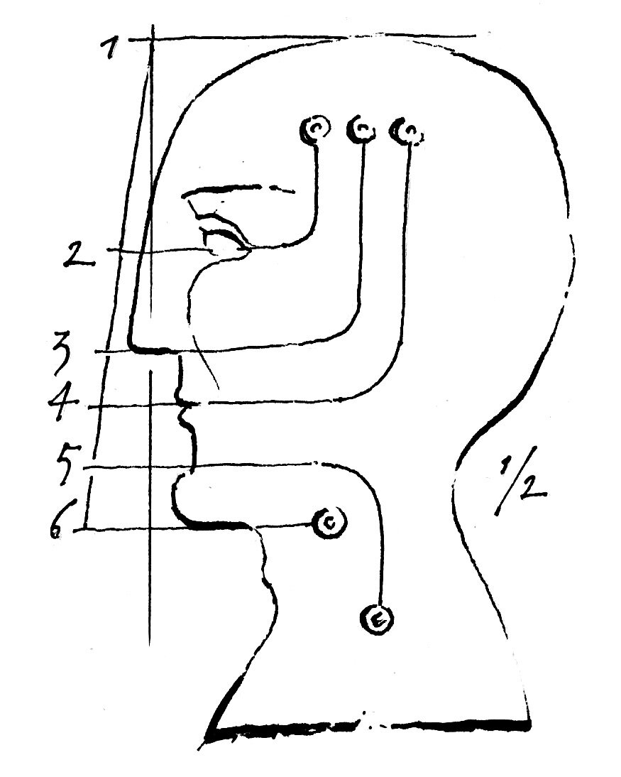 Иллюстрация Петра Перевезенцева