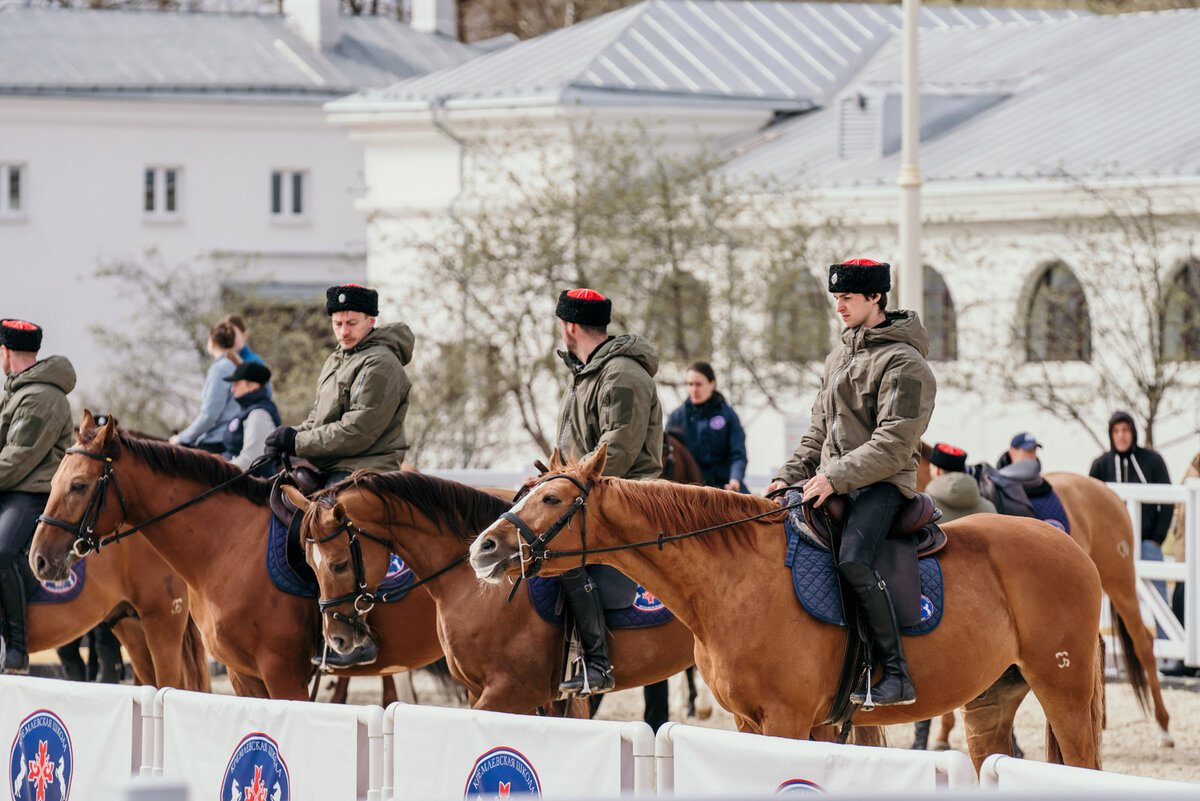 Школа верховой езды