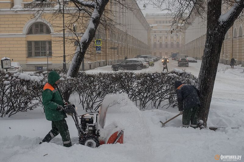   
 Фото: Михаил Огнев/«Фонтанка.ру»