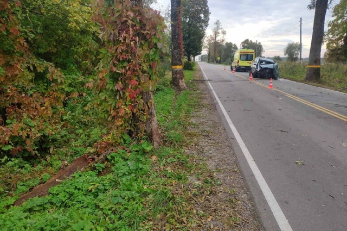    На пассажирку автомобиля, спровоцировавшую ДТП, завели уголовное дело