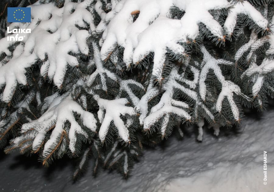 Замерзающая Европа