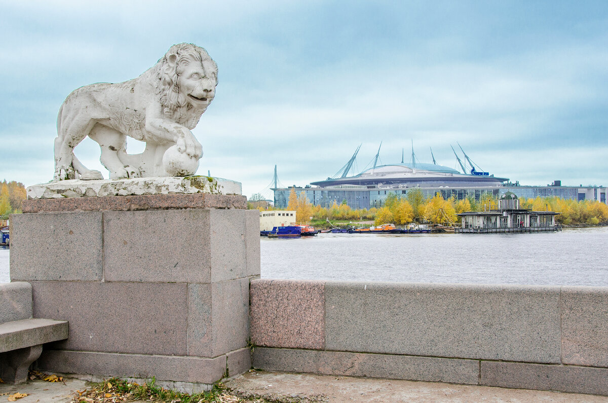 Лев и "Зенит-арена" на заднем плане.