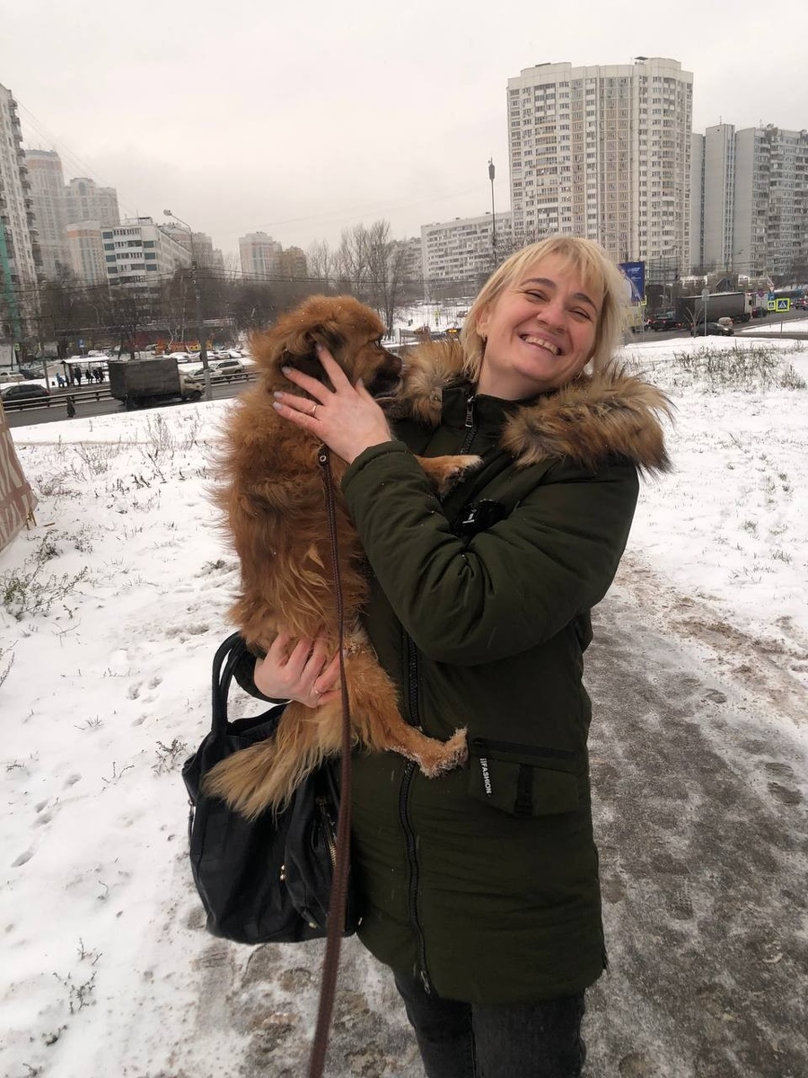     Теперь питомец и хозяева снова вместе! Фото: официальная группа волонтерского сообщества "Неравнодушные" в "ВК"