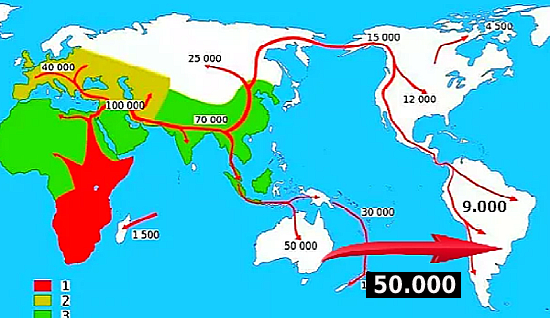Реальная карта расселения людей по планете.
