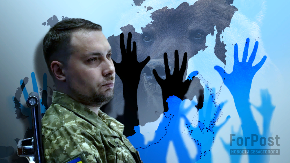 Коллаж ForPost