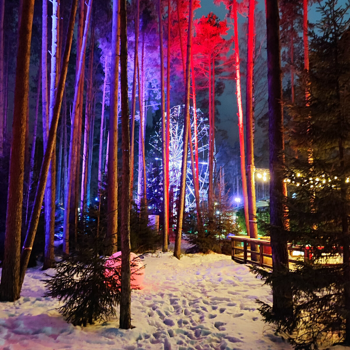 Лесной каток Охта Парка