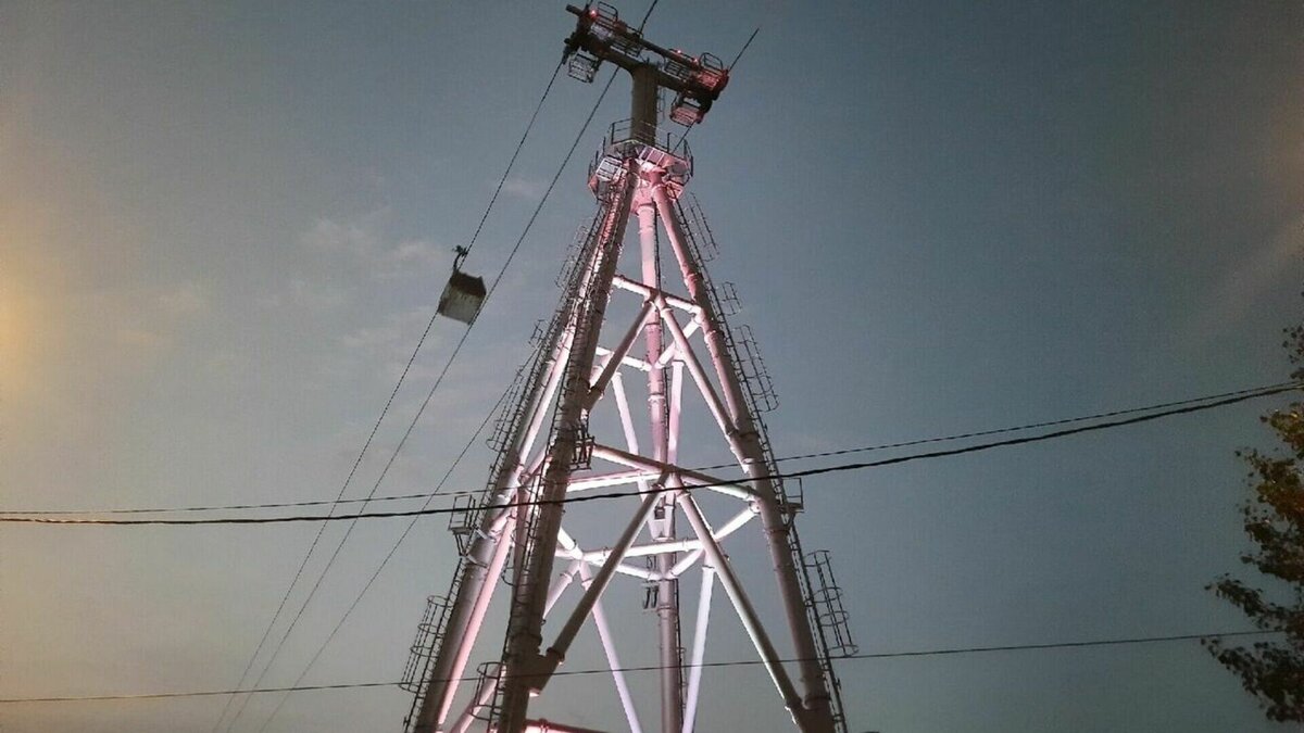     В Нижнем Новгороде подвели итоги торгов по поиску подрядчика для строительства канатной дороги через Оку. Победителем стала ГК «Урбантех». Данные об этом NewsNN предоставили в минэкономразвития региона.