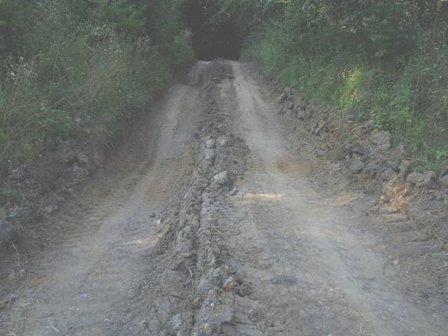 4 сентября 2014 года Теперь о другом. Сейчас на самой восточной Богатырской поляне работают лесозаготовители. Ниже показаны результаты их деятельности.-6