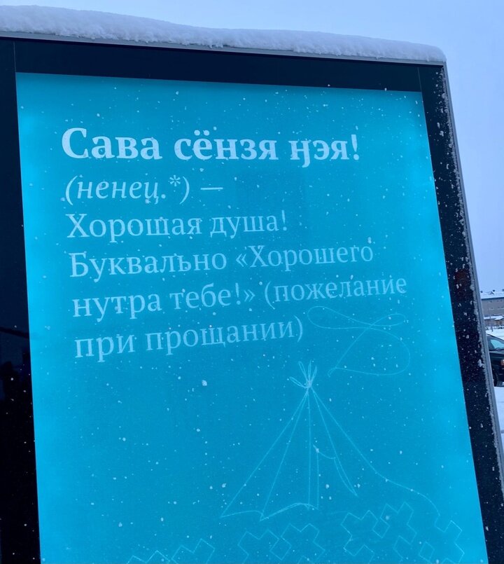     Фото: департамент по делам КМНС ЯНАО