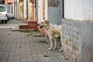    Фото: aif.ru Наталья Анисеева