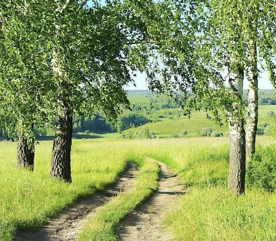 Природа россии картинки для детей