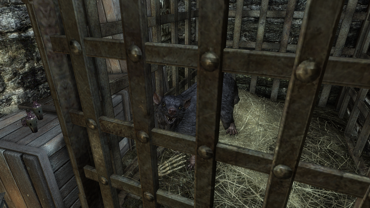 Клетка с крысой