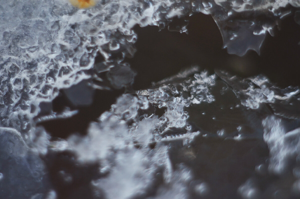 Немного зимы и макро