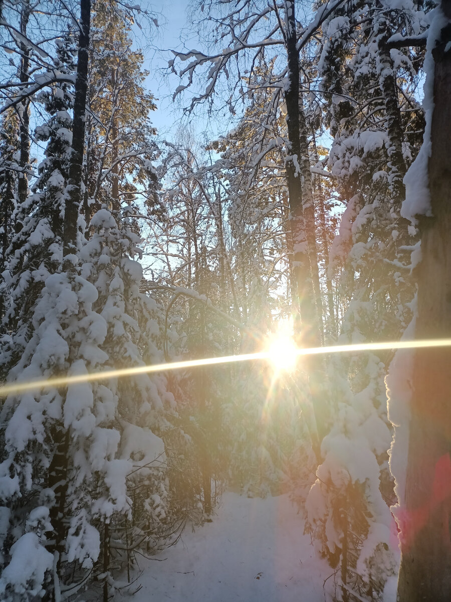 Вечереет в национальном парке