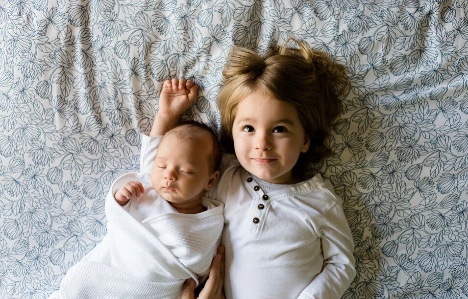 Фото: pixabay.com