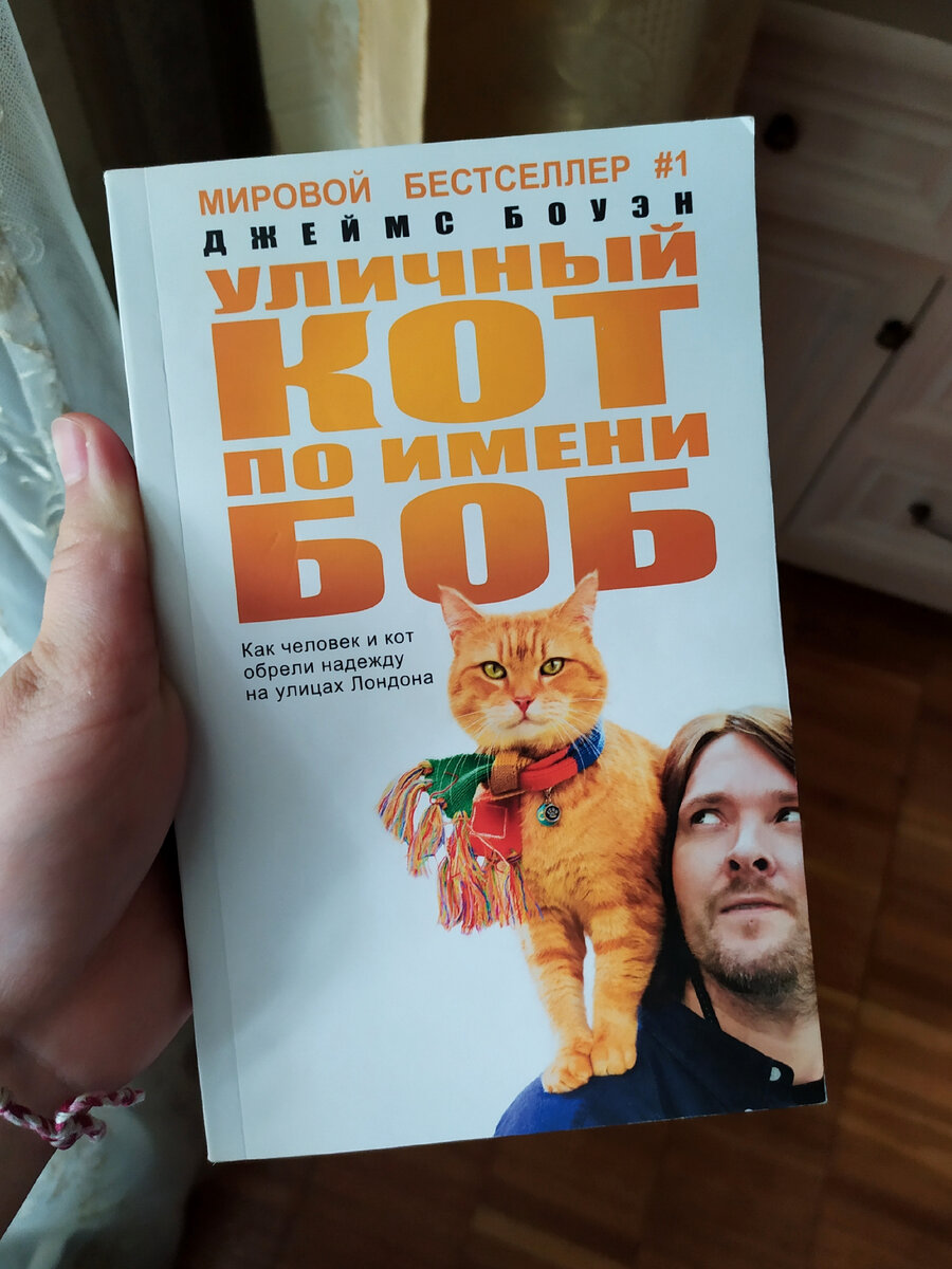 Вот и сама книжка