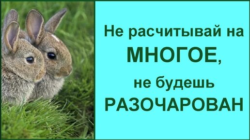 Жили, жили, не тужили. к такому мы точно не были готовы!!!